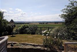 Betton Farm