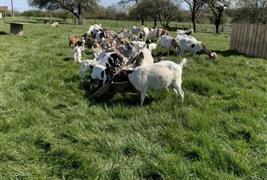 Toulston Hall Farm