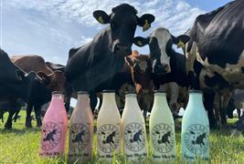 Bays Leap Dairy Farm