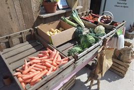 The Curly Meat Co Farm Shop