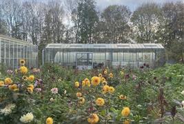 Worton Kitchen Garden