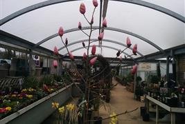 Wyatts Garden Centre & Farm Shop
