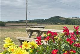 Peasey Farm shop