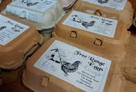 Morton Farm Shop