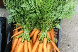 Hinksford Farm Shop