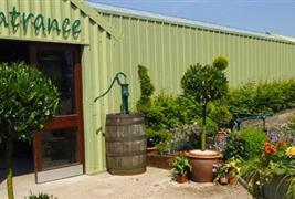 Jacksons Nurseries, Tea Room & Farm Shop