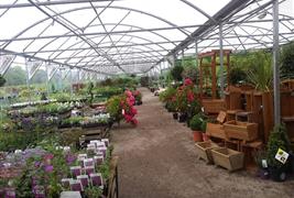 Jacksons Nurseries, Tea Room & Farm Shop