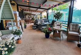 Jacksons Nurseries, Tea Room & Farm Shop