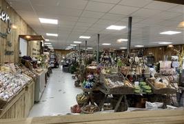 Jacksons Nurseries, Tea Room & Farm Shop