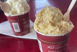 Red Lion Farm Ice Cream & Cake Shop