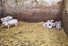 Woodhouse Farm and Garden CIC