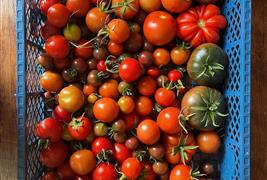 Railway Farm Shop - Veg Boxes