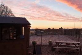 Railway Farm Shop - Veg Boxes