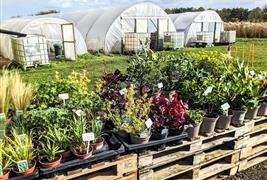 Seed Farm Shop