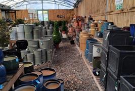 Elm Tree Farm Garden Nursery & Tearoom