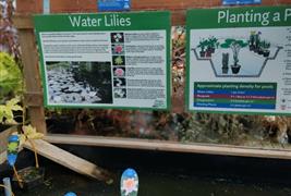 Elm Tree Farm Garden Nursery & Tearoom