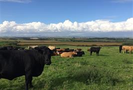 Slade Farm Organics Farm Shop