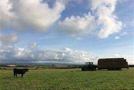 Slade Farm Organics Farm Shop