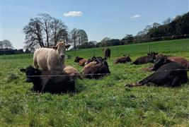 Adsdean Farm Shop