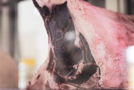 Roast Mutton's Cumbrian Farm Shop