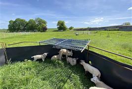 The Piggery Farm Shop