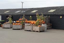 Broomfield’s of Holt