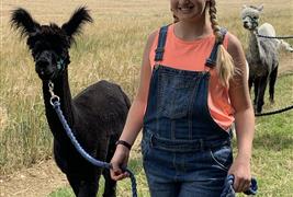 Hilly Ridge Alpacas