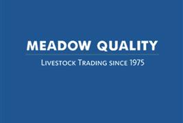 Meadow Quality Ltd