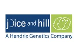 Joice and Hill Poultry Ltd