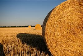 Hayward United Farmers Ltd