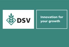 DSV United Kingdom