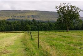 Electric Fencing Direct