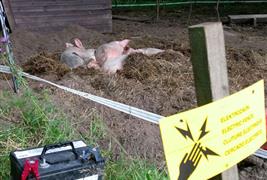 Electric Fencing Direct