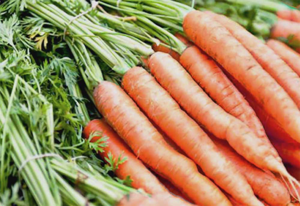 Thames Valley Farmers' Market Co-Operative