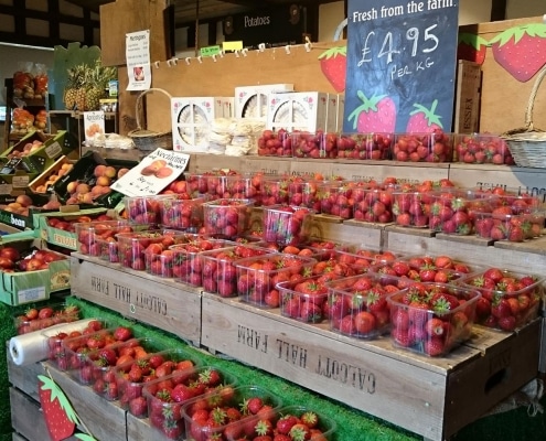 Calcott Hall Farm