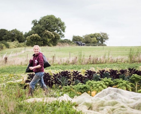 Hartley Coffee House and Farm Shop
