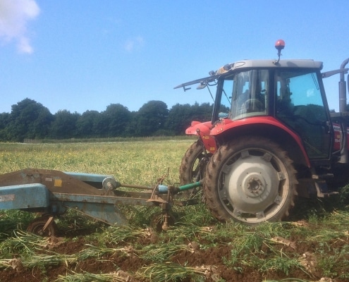 Hooton's Homegrown