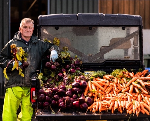Lifton Strawberry Fields Farm Shop & Pyo