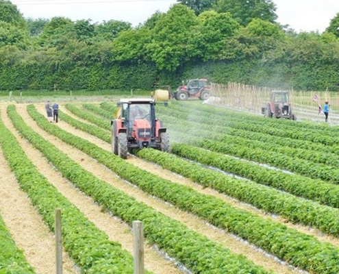 Malt Kiln Farm Shop