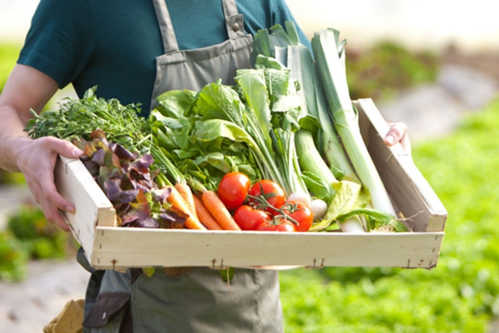 Trevathan Farm Shop