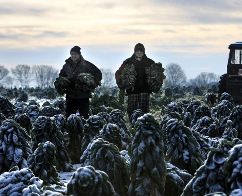 Essington Fruit Farm Shop