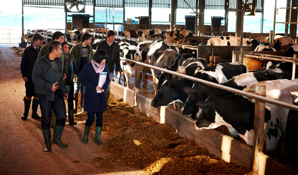 Royal Agricultural University