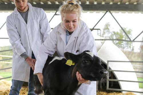 Hartpury University and College