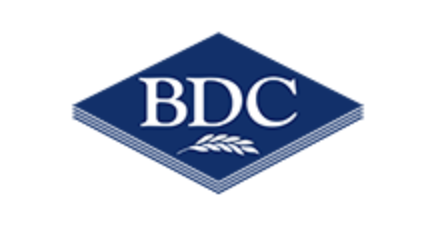 BDC Systems Ltd