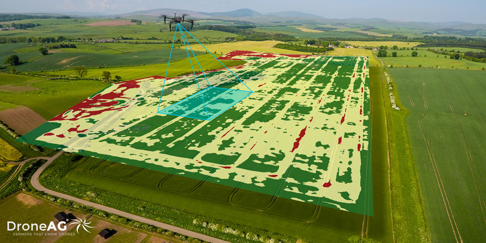 Drone AG