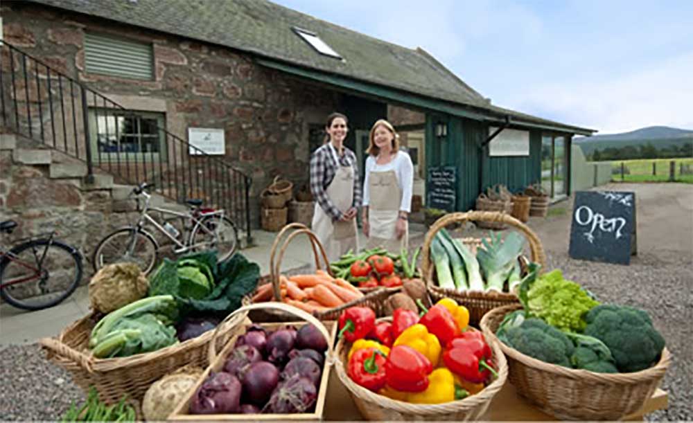 Finzean Estate And Farm Shop