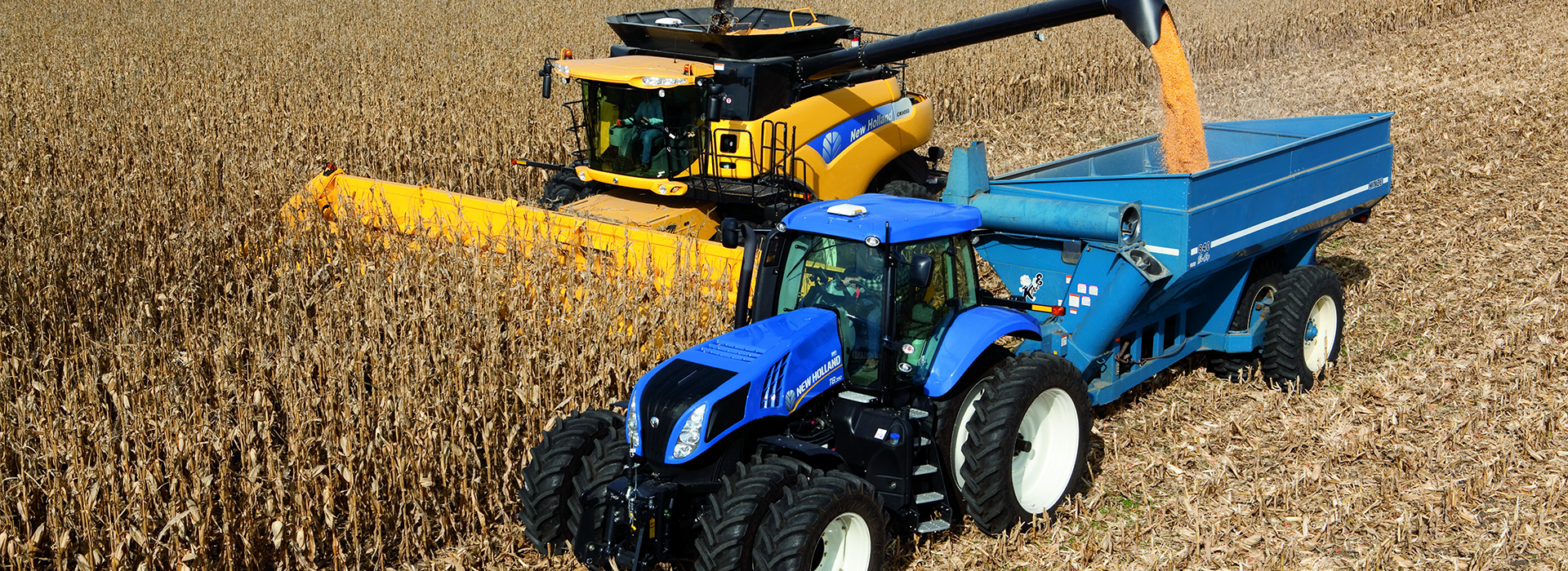 Clareview Agri Ltd 