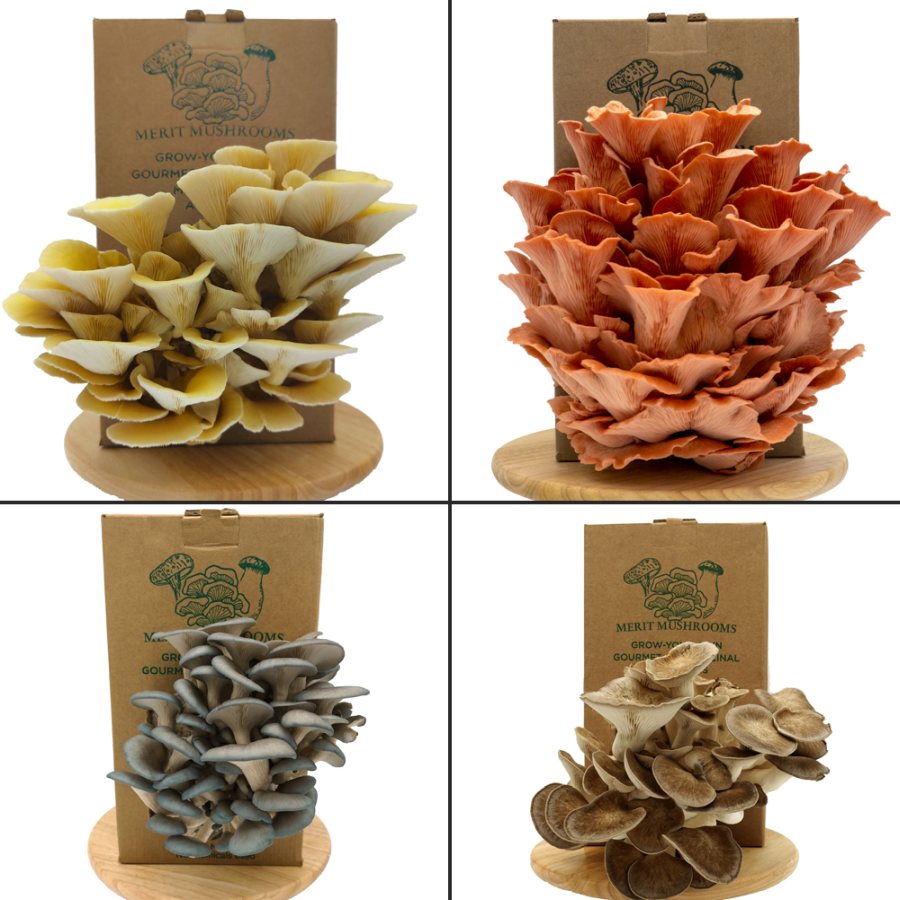 Merit Mushrooms
