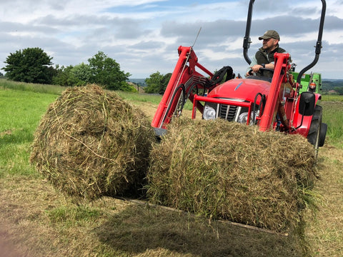 Bushblades Farm