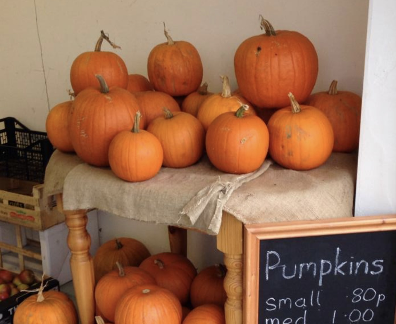 Spinney Farm